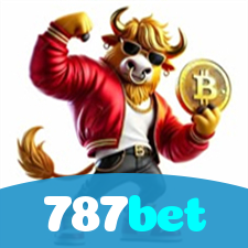 Problemas de Login no 787bet