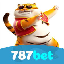 Segurança no 787bet