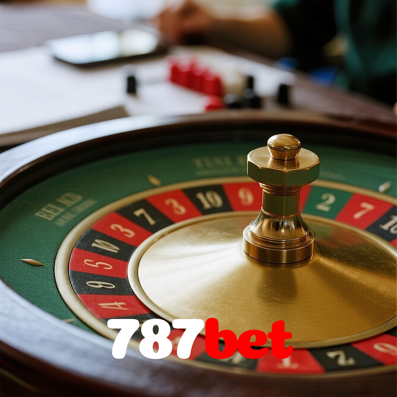 Segurança no 787bet
