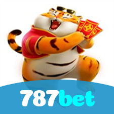 Segurança no 787bet