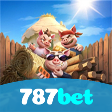 Problemas de Login no 787bet